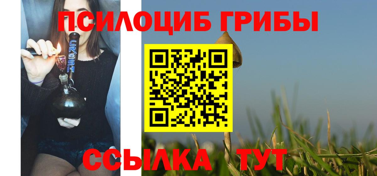 Галлюциногенные грибы Cubensis Тихорецк