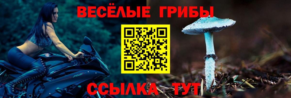 Псилоцибиновые грибы Psilocybine cubensis  Вход с VPN  Псилоцибиновые грибы Psilocybine cubensis  Тихорецк 